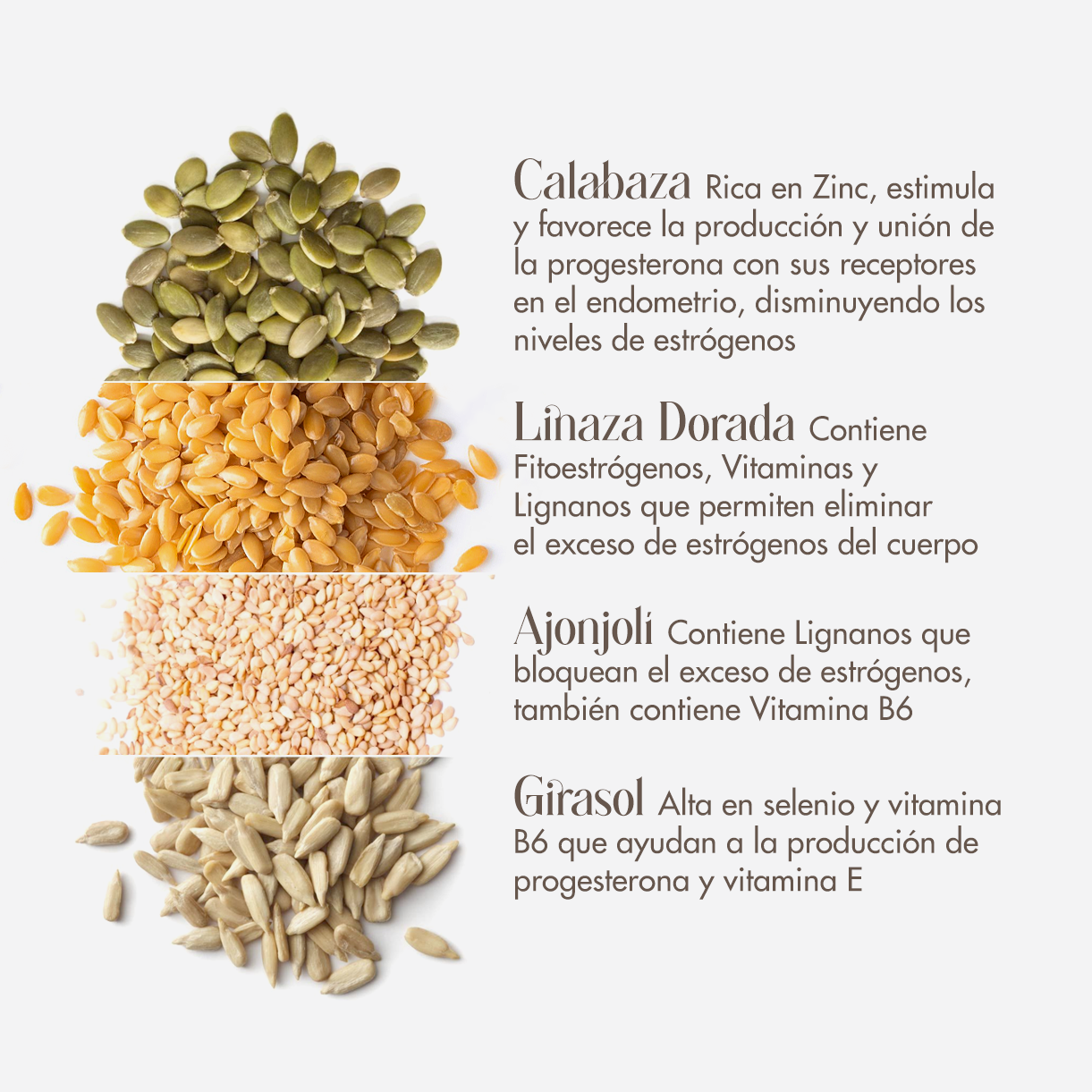 Ciclo de las Semillas