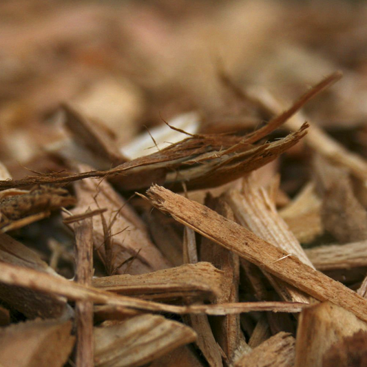 Aceite de Cedro