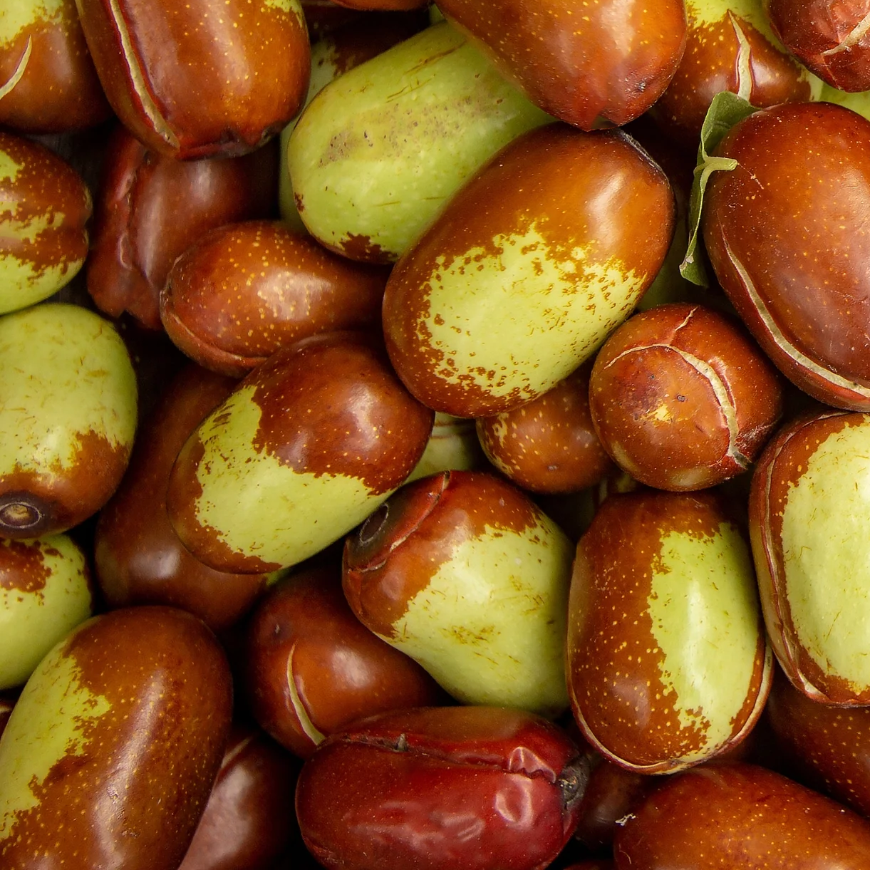 Aceite de Jojoba