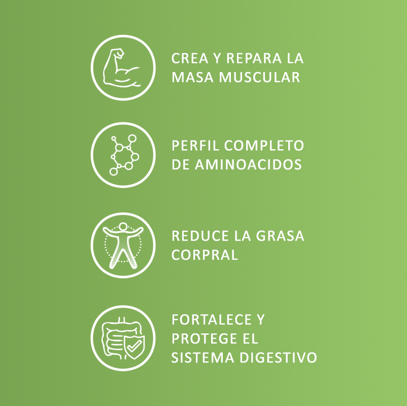 Proteína Vegetal - 1.4 Libras